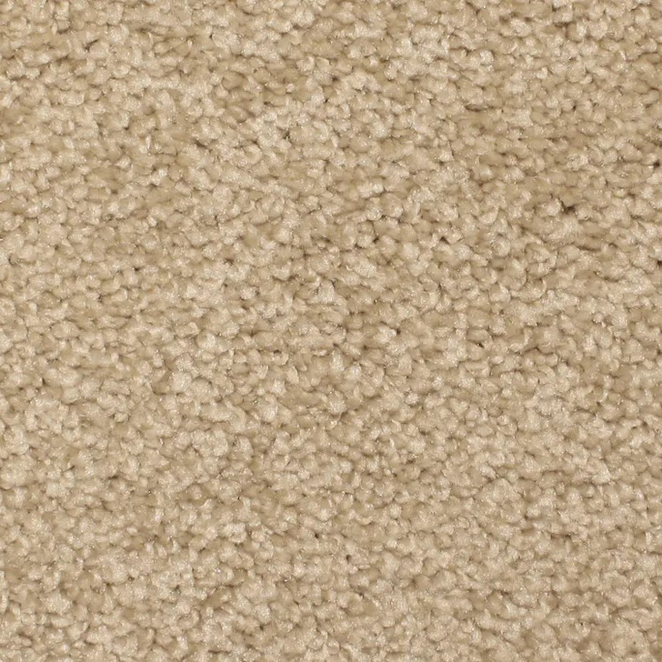 Phenix Ebullient FE503 Floorever Residential Carpet 