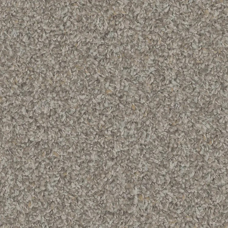 Phenix Sparta FP004 FloorEver PetPlus Residential Carpet Allure