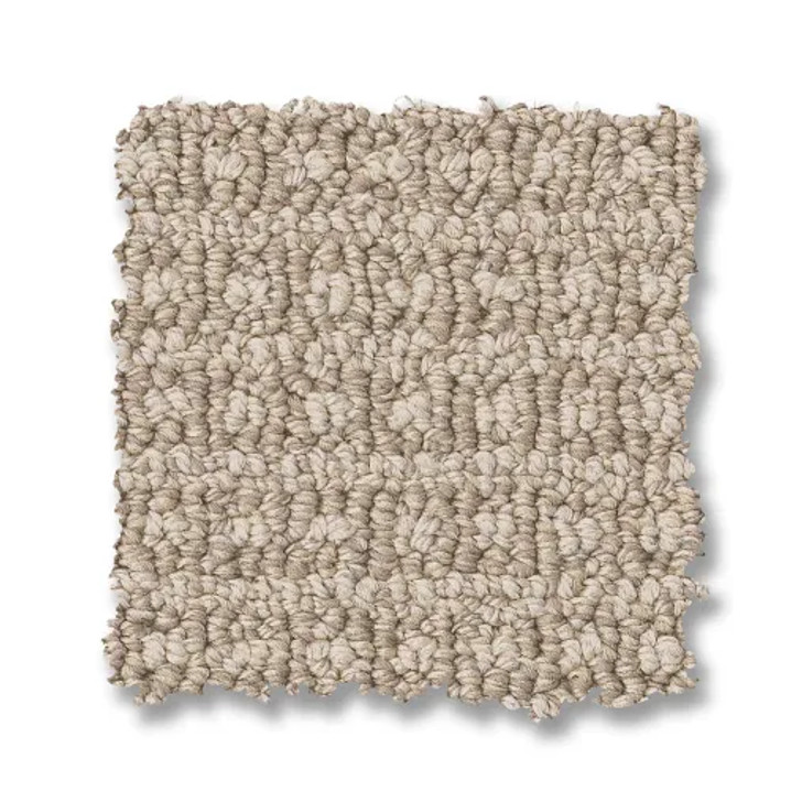 Anderson Tuftex Pet Perfect Fetch ZZ074 Residential Carpet