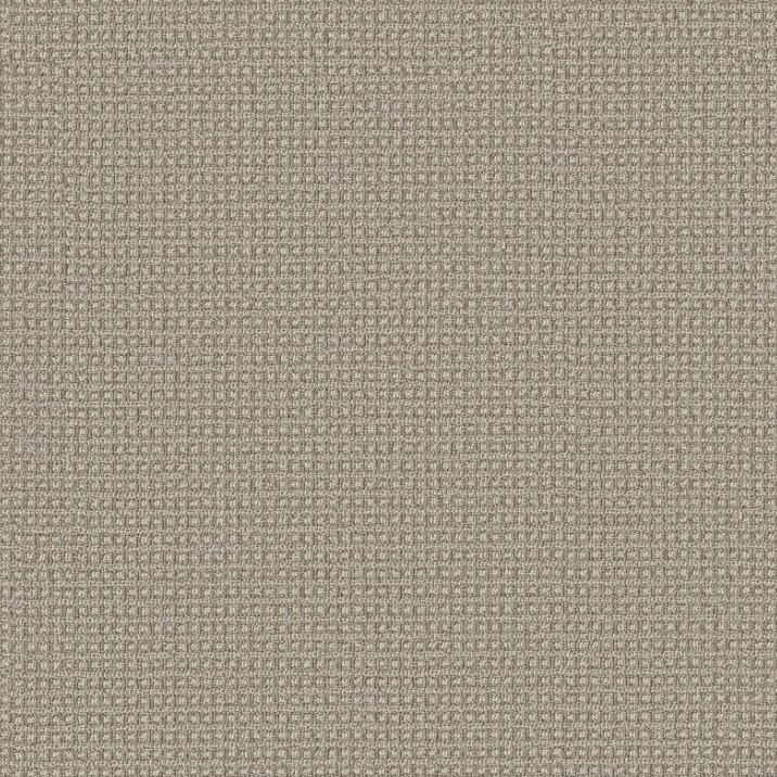 Anderson Tuftex Pet Perfect Fetch ZZ074 Residential Carpet