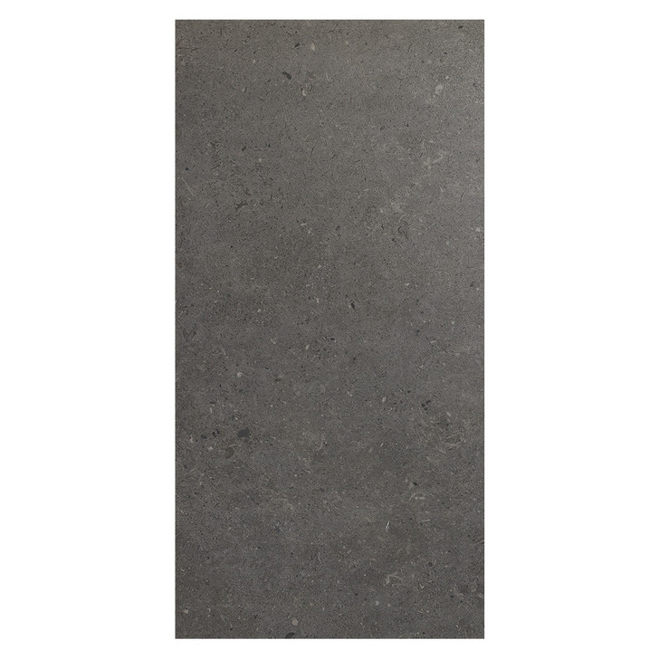 Walker Zanger Bera and Beren 12" x 24" Rectangle Porcelain Tile Coal Individual Tile