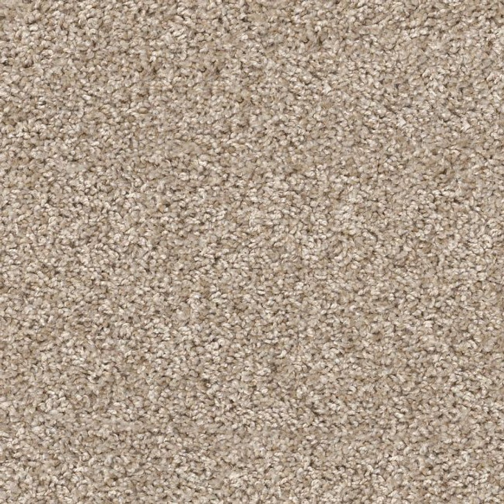 Shaw Shake It Up (A) E9446 Residential Carpet Creamy Silk