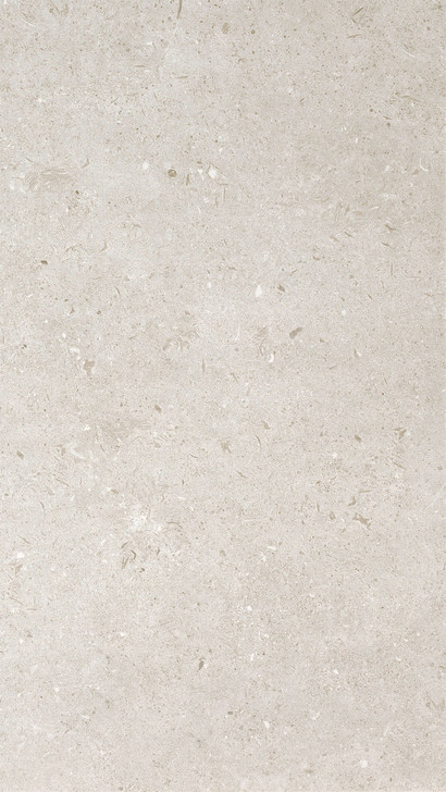 Walker Zanger Bera and Beren 18" x 36" Rectangular Porcelain Tile Light Grey Individual Tile