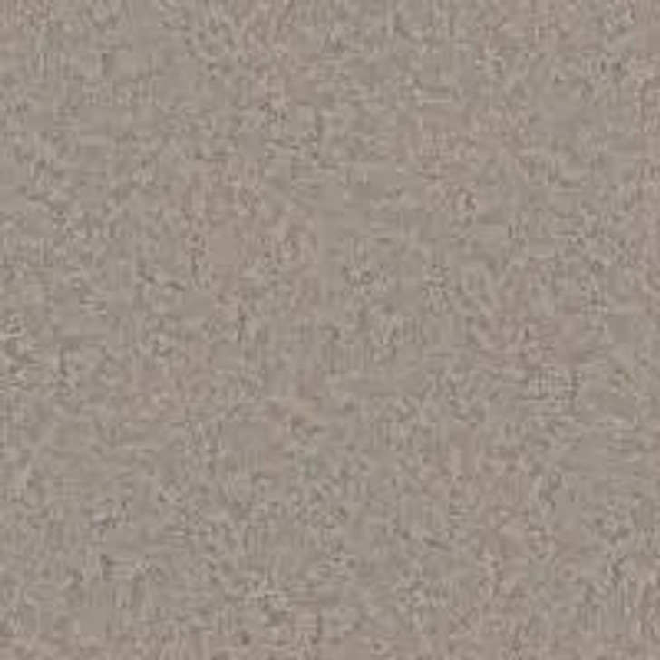 Phenix Aviara FP028 FloorEver PetPlus Residential Carpet Coastal