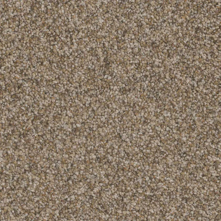 Phenix Bari FloorEver PetPlus Residential Carpet is Available for