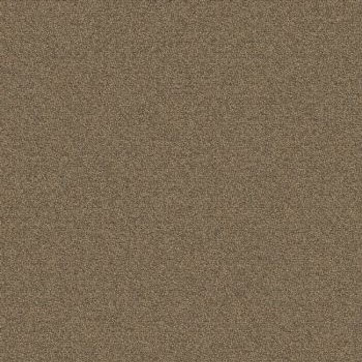 Buy Mohawk Aladdin Scholarship II 20 AQ99 Commercial Carpet