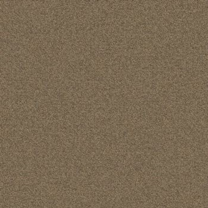 Mohawk Aladdin Scholarship II 20 AQ99 Commercial Broadloom Carpet Sienna