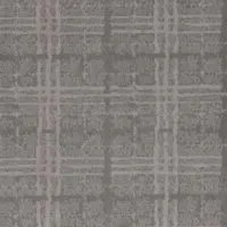 Phenix Del Mar FP026 FloorEver PetPlus Residential Carpet