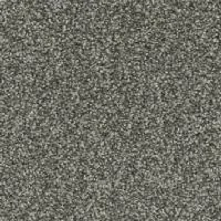 Phenix Seaview FP016 FloorEver PetPlus Residential Carpet Starry Night