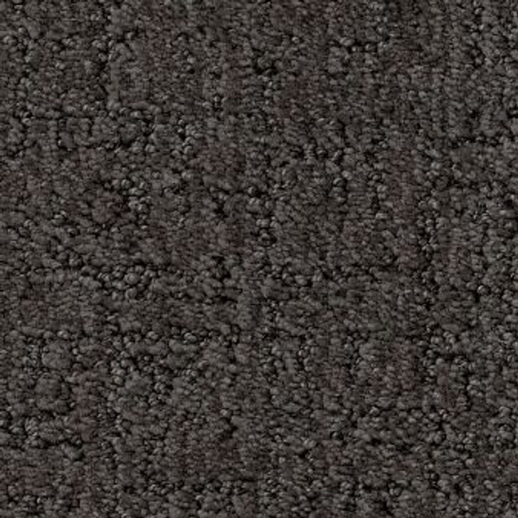 Anderson Tuftex Indulgent ZZ331 Residential Carpet