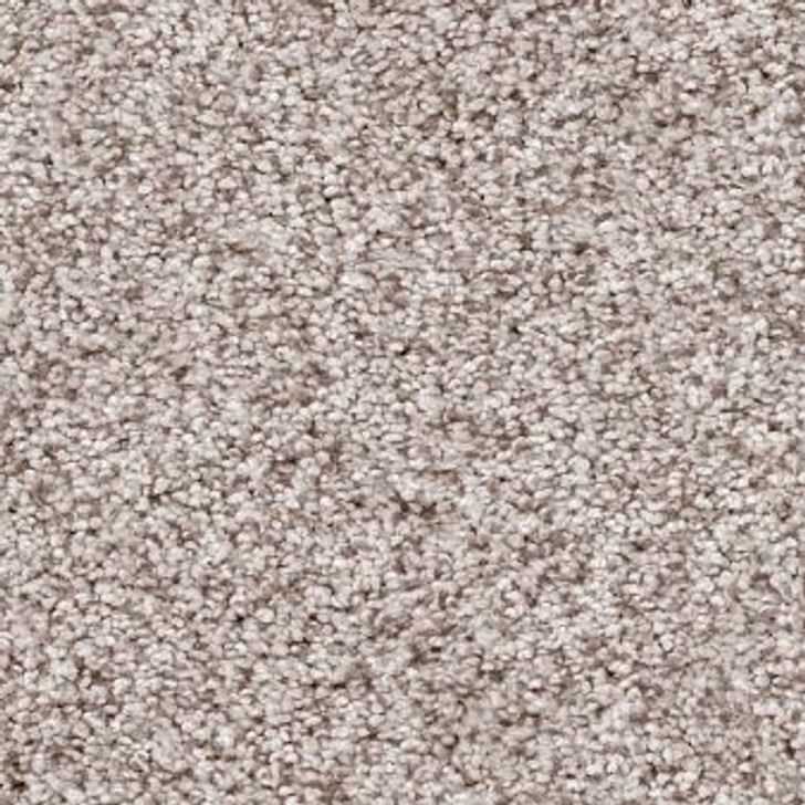 Anderson Tuftex Sumptuous I ZZ323 Residential Carpet 