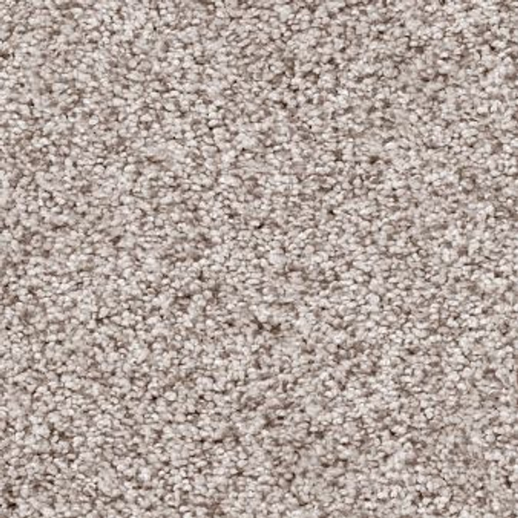 Anderson Tuftex Sumptuous I ZZ323 Residential Carpet