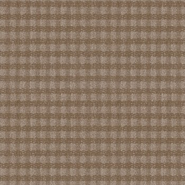 Anderson Tuftex Imagination ZZ336 Residential Carpet 