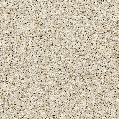 ニホンジカ♂毛皮　23-1 Mohawk 3M35 Raise the Woof II Carpet 12 Foot Width Polyester