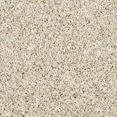Mohawk 3M36 Purrsonality I Carpet 12 Foot Width Polyester