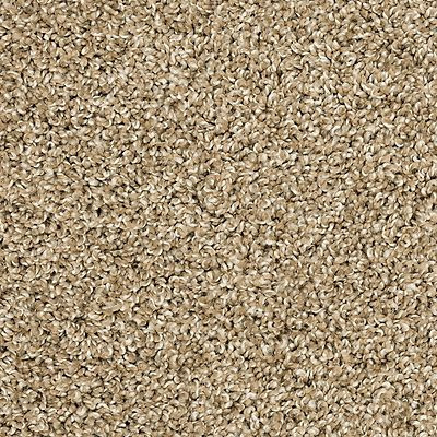 Mohawk 3M38 Purrsonality III Carpet 12 Foot Width Polyester