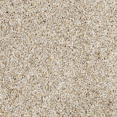 Mohawk Pet Premier Diffurent Choice I 32oz Carpet | Georgia Carpet