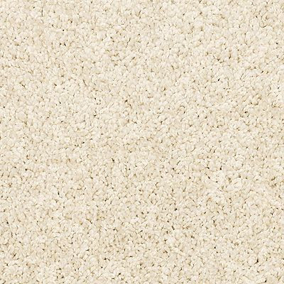 Mohawk Pet Premier Diffurent Choice III Carpet 58oz | Georgia Carpet