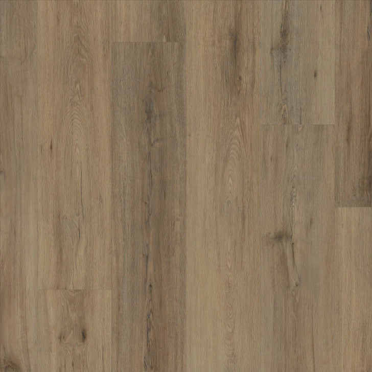 Shaw Resilient Residential Paladin Plus 0278V Luxury Vinyl Plank