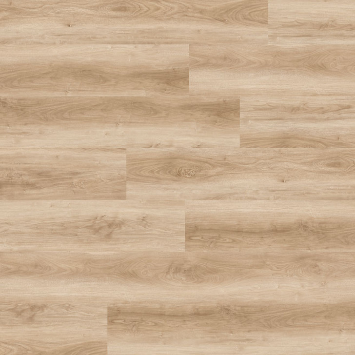 Nova Floor Ellis 7" Glue Down Luxury Vinyl Plank 