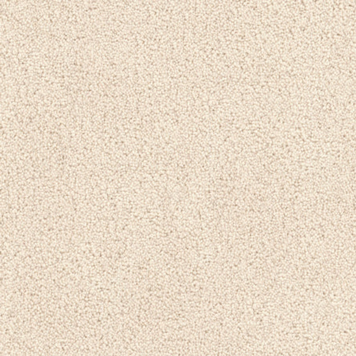 Fabrica Tribute 115TB Nylon Residential Carpet