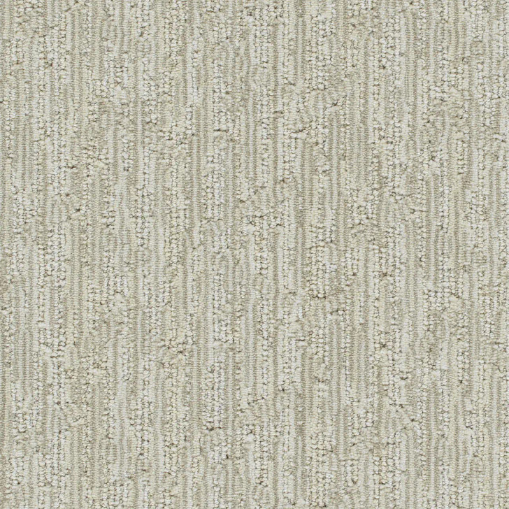 Dreamweaver Valter Residential Carpet at Georgia Carpet for Great