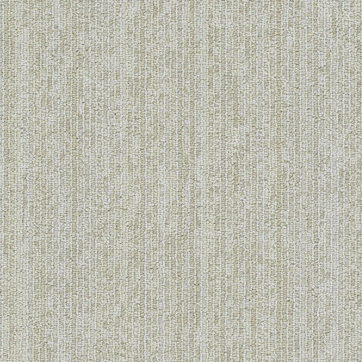 Dreamweaver Newport Residential Carpet at Georgia Carpet for Great