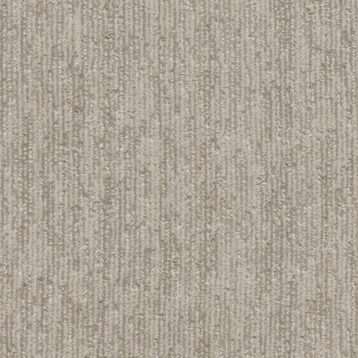 Dreamweaver Baja II Residential Carpet at Georgia Carpet for Great