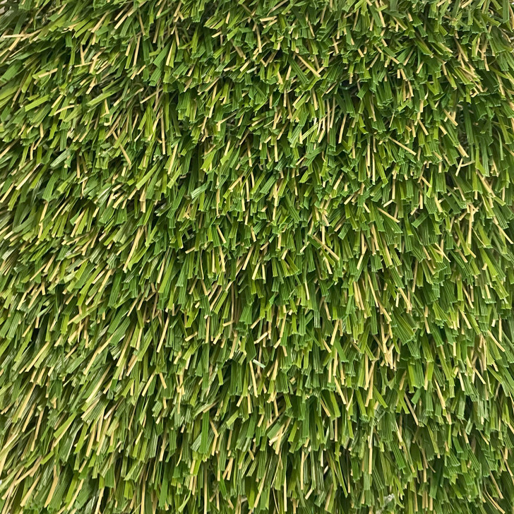 orgia Carpet Pro Series Pro Turf I 65 Landscaping Turf is
