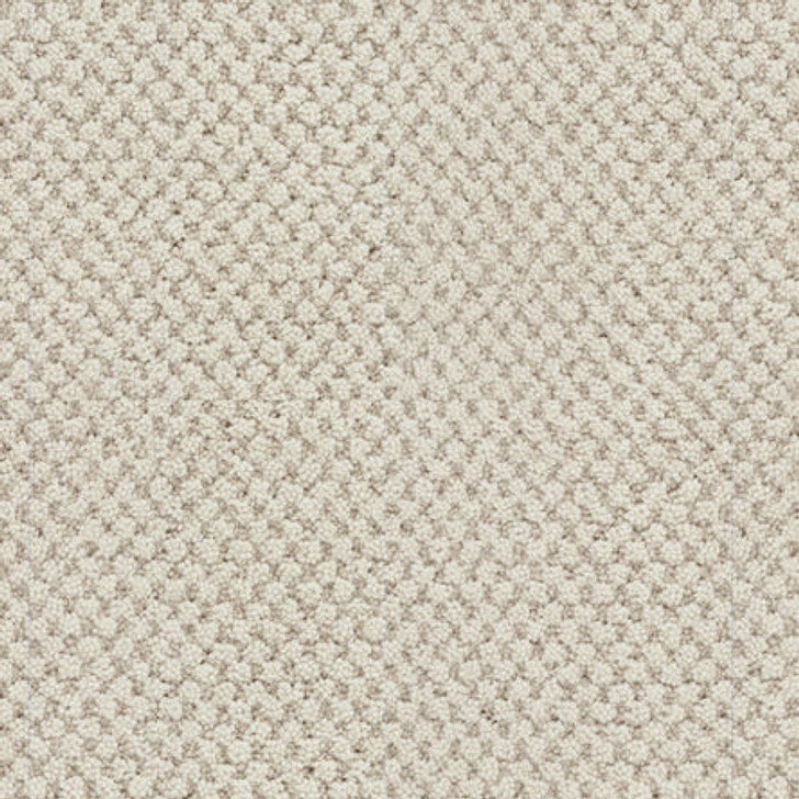 Masland La Parade 9716 Residential Carpet