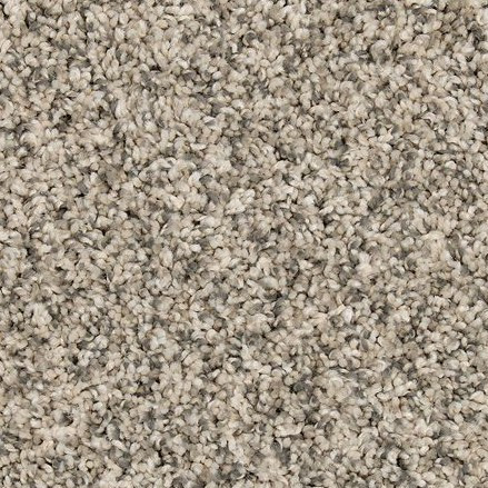 Buy Mohawk Renovate II 3L35 Residential Carpet for a Great Value