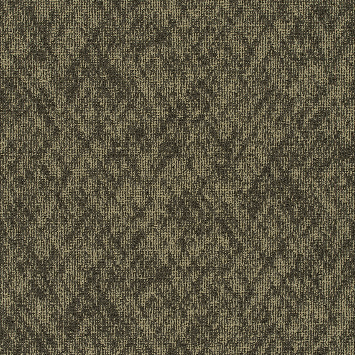 Buy Engineered Floors Pentz Homepage 6652B Broadloom at Georgia