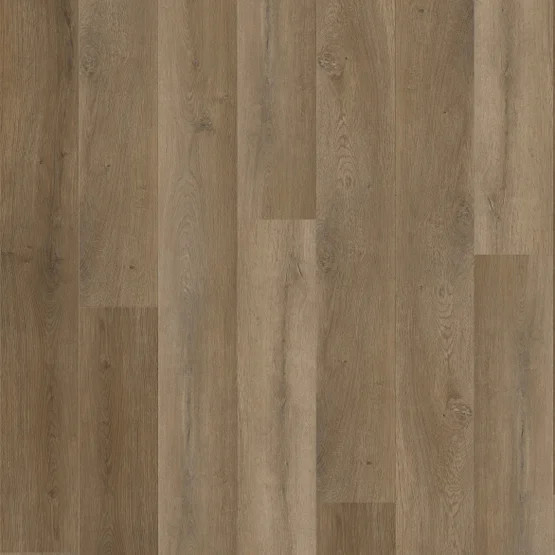 Buy Stanton Natural Beauty Bristol Point at Georgia Carpet for an