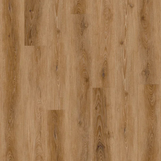 Buy Stanton Natural Beauty Hartford at Georgia Carpet for an