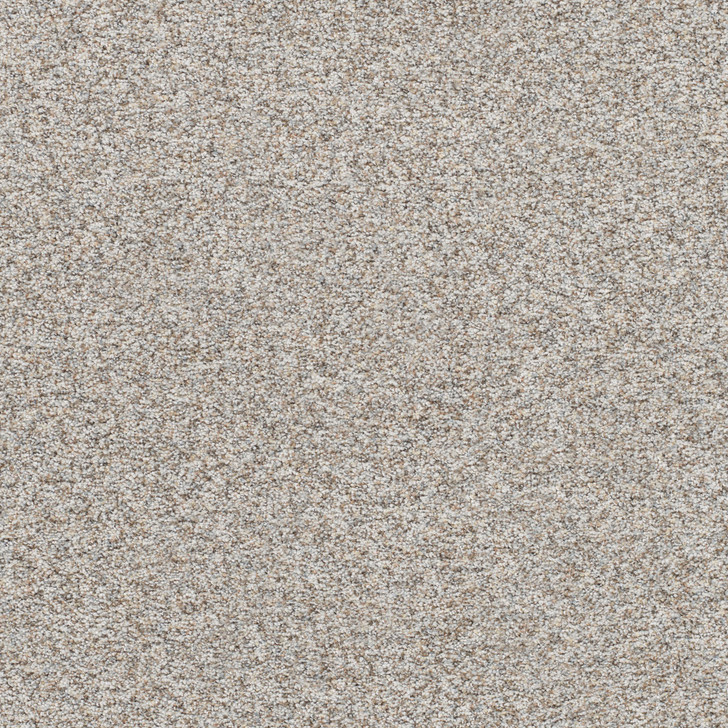 Engineered Floors Dreamweaver Prismatic III 5665 Residential Carpet