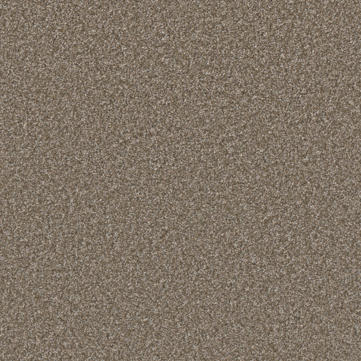 Buy Dreamweaver Excalibur I Residential Carpet at Georgia Carpet