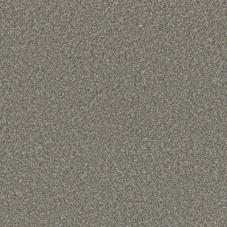 Dreamweaver Excalibur II 5052 Residential Carpet
