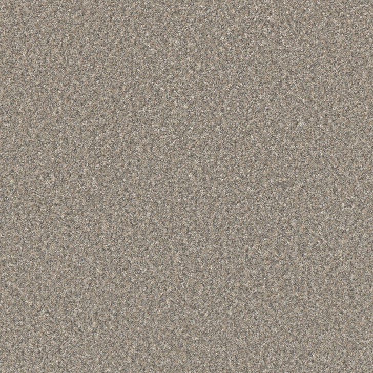 ペギラ　ベムラー Buy Dreamweaver Excalibur III Residential Carpet at Georgia Carpet