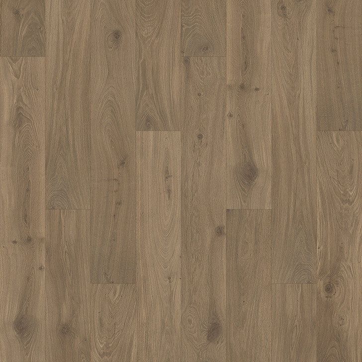 Mohawk Revwood Select Gardenia Lake is at Georgia Carpet for great