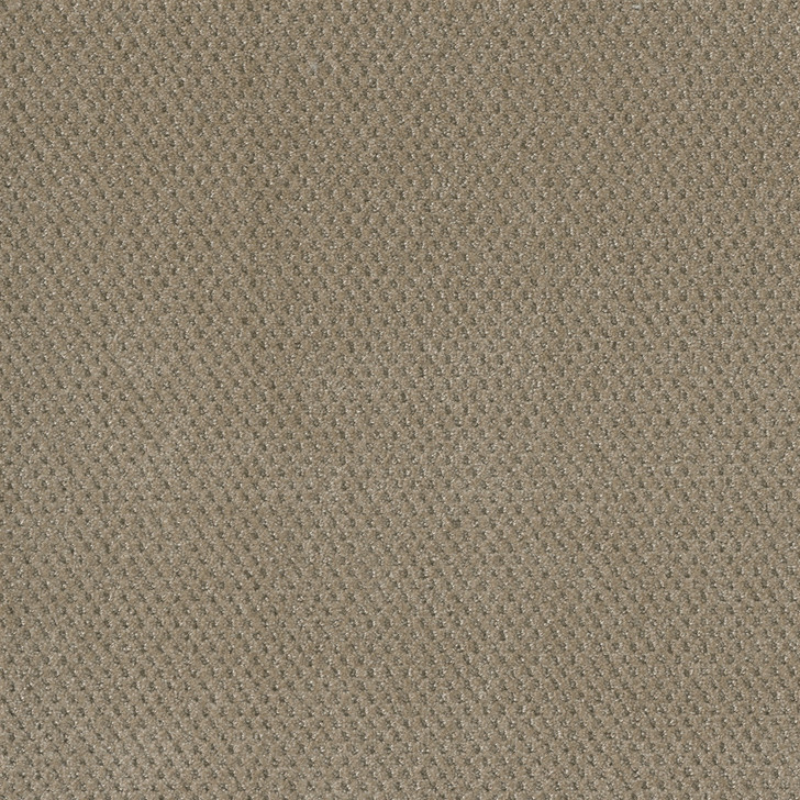 Dreamweaver Prime 2125 Residential Carpet