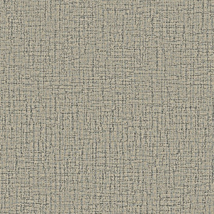 Buy Shaw Anderson Tuftex Haptic Wool Carpet at Georgia Carpet