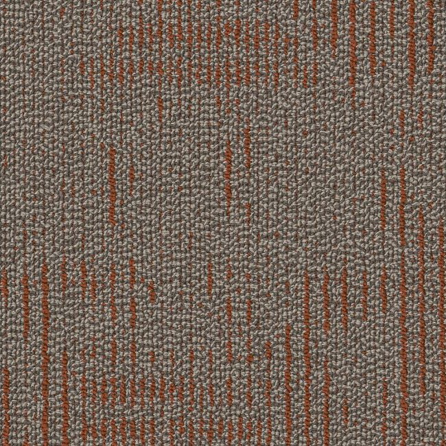 Buy Shaw Philadelphia Curious Wonder Carpet Tile at Georgia Carpet