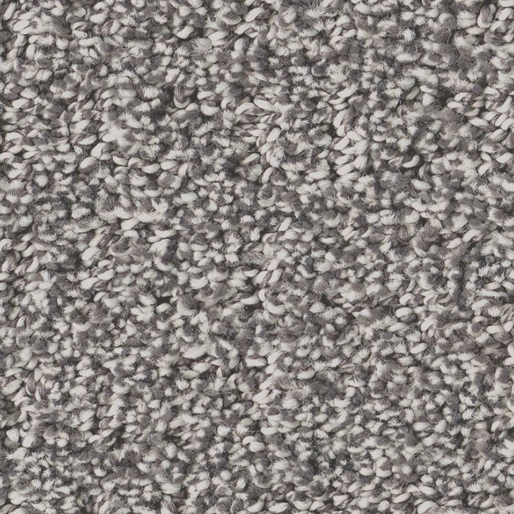 Shaw Pet Perfect Plus Secret Journey 5E875 Residential Carpet - Graphic