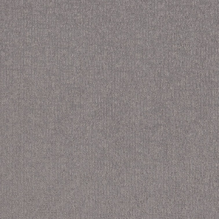 Shaw Simply the Best Clever Art 5E811 Residential Carpet