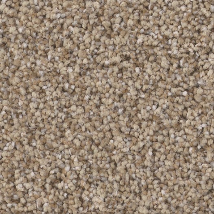Shaw Simply the Best Elevated II 5E862 Residential Carpet