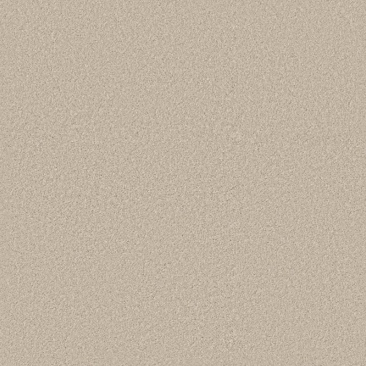 Shaw Anso Colorwall Classic Tone 5E915 Residential Carpet