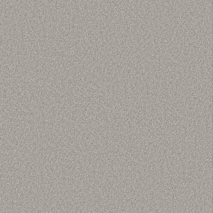 Shaw Good Move I Residential Carpet