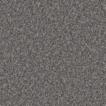 Shaw Good Move II Residential Carpet