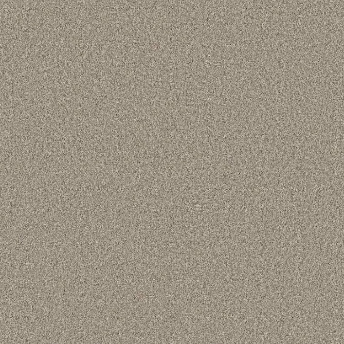 Shaw Anso Colorwall Timeless Tone LifeGuard Blue Backing 5E937 Residential Carpet