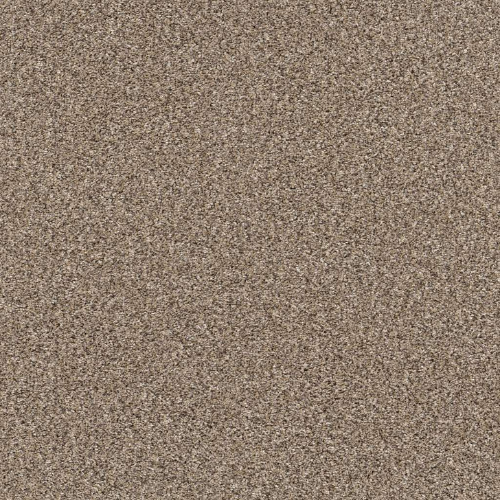 Shaw Pet Perfect Yes You Can II 15' 5E572 Residential Carpet